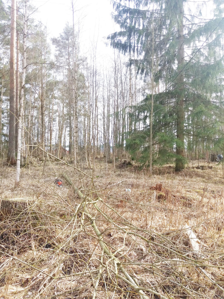 20160429_172441
