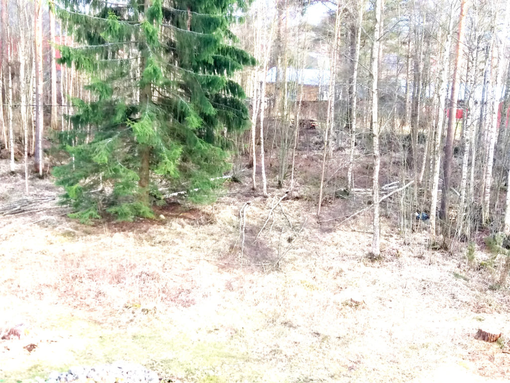20160429_185255